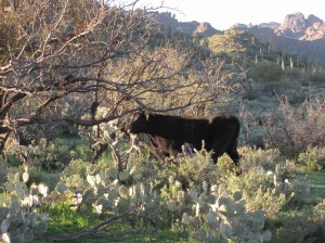 IMG_2343learn-to-eat-300x224