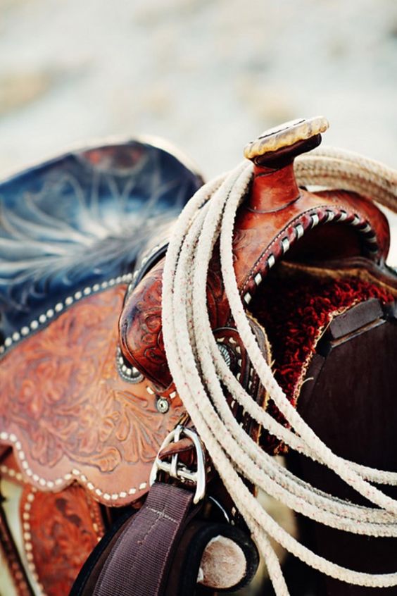 dc24fcea3842cd85f502fe8a1fa524ee