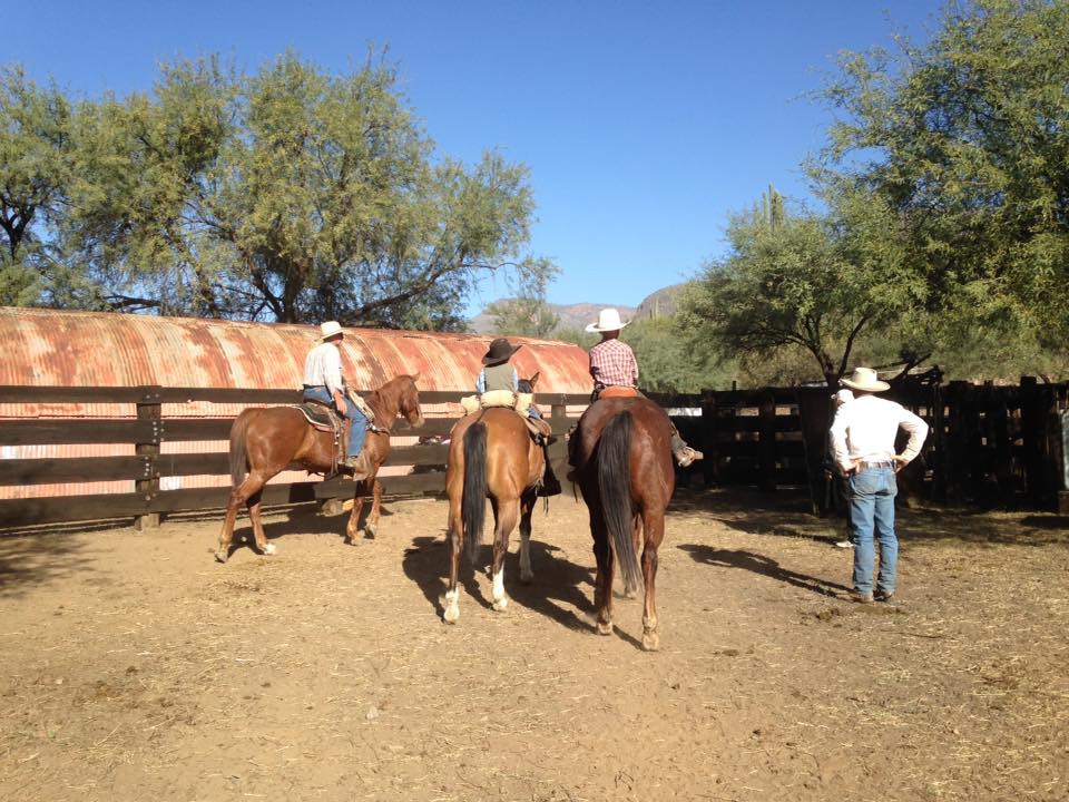 15109404_1805435679672675_4351168881345082248_n