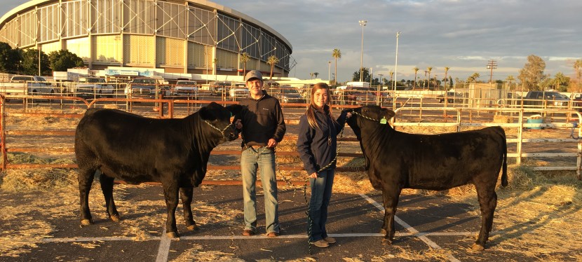 Building Confidence: Both In and Out of the Show&nbsp;Ring