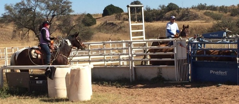 4-28-2017_Arizona Team Beef_Cami Schlappy_4