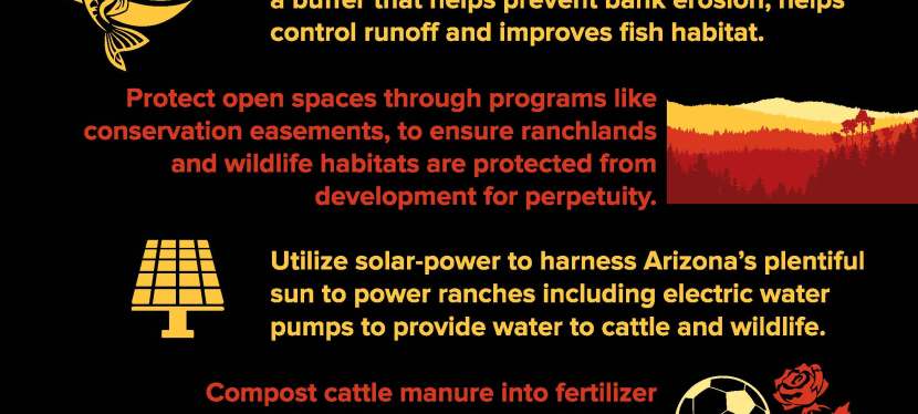 28 Ways Arizona Ranchers Care for the&nbsp;Environment