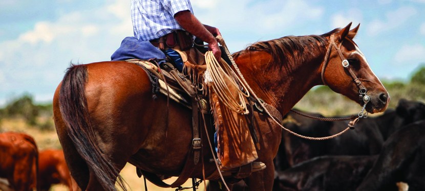 Meet Your Rancher: Jim and Jeanne&nbsp;O’Haco