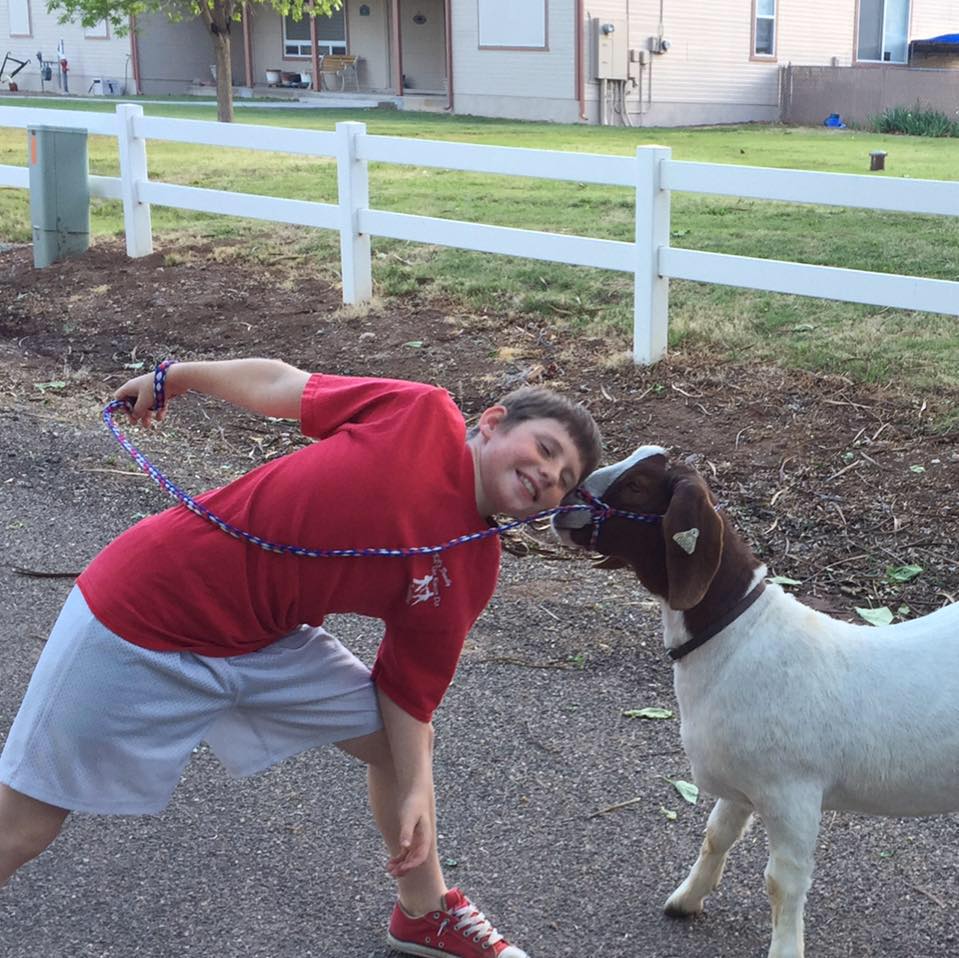 13100931_10207873258222754_2166848693627388861_n