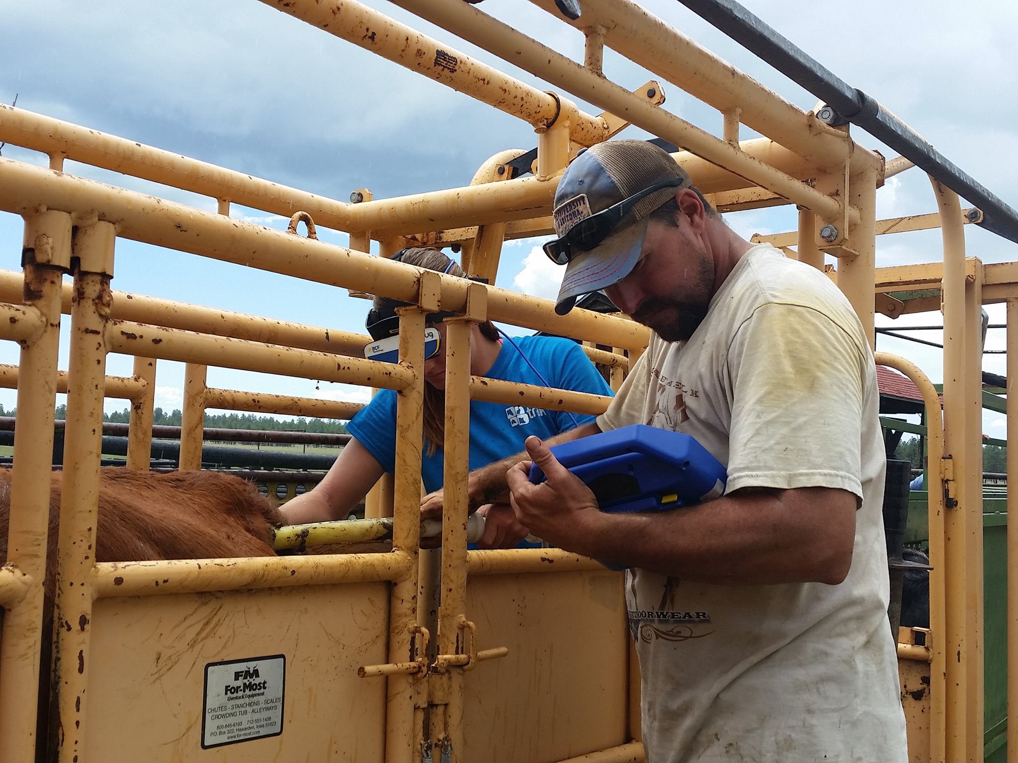 13938187_1247480968596086_1186724804880850939_o