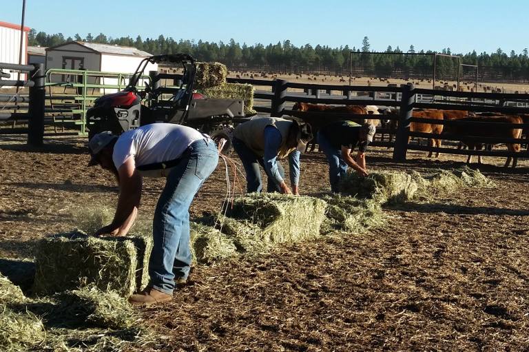 14692041_1323703427640506_9211379197313490478_o