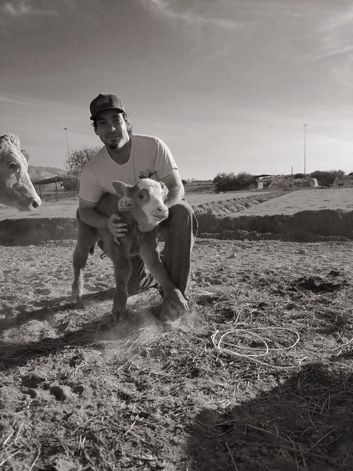 14721509_1305889406102441_8402360163695978775_n