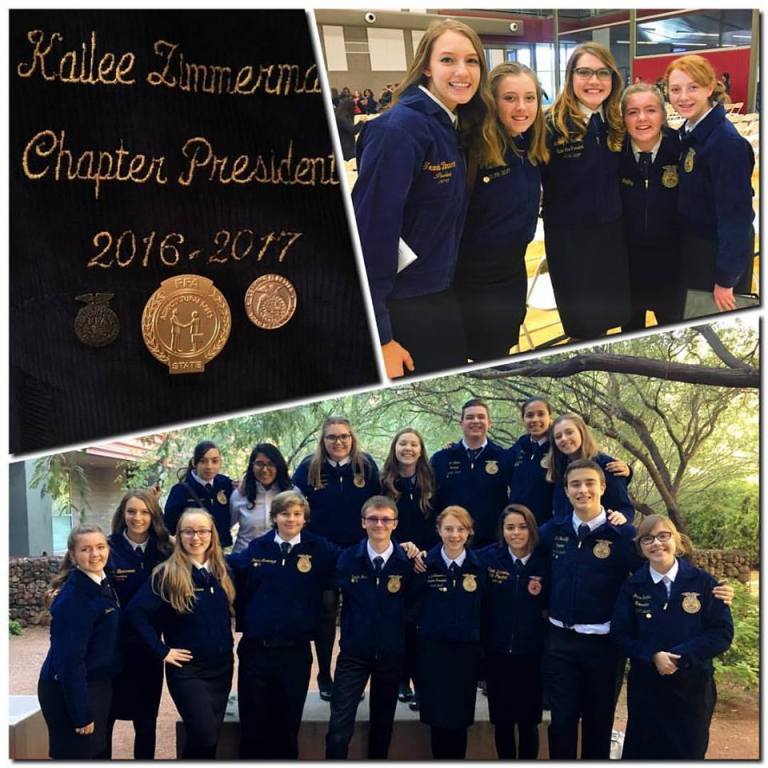 15442289_10208142706141790_2071959466316720964_n