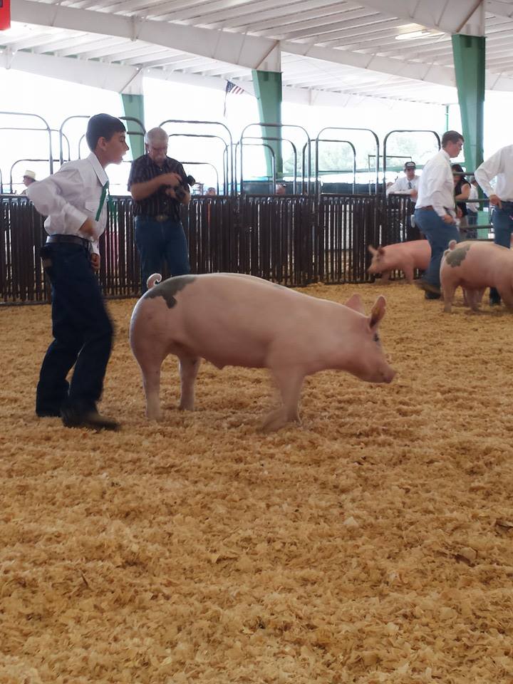 10154307_10201910170185086_1325773282454607929_n