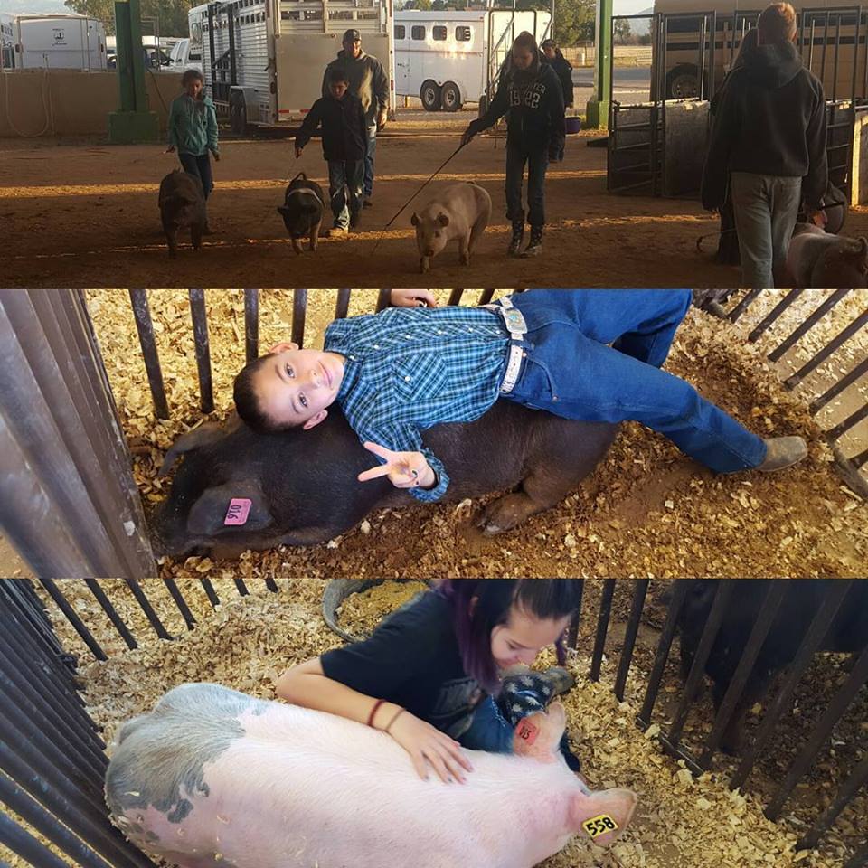 16995940_10208850266843165_4761211274193346154_n