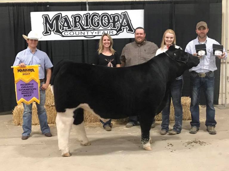 Winning steer