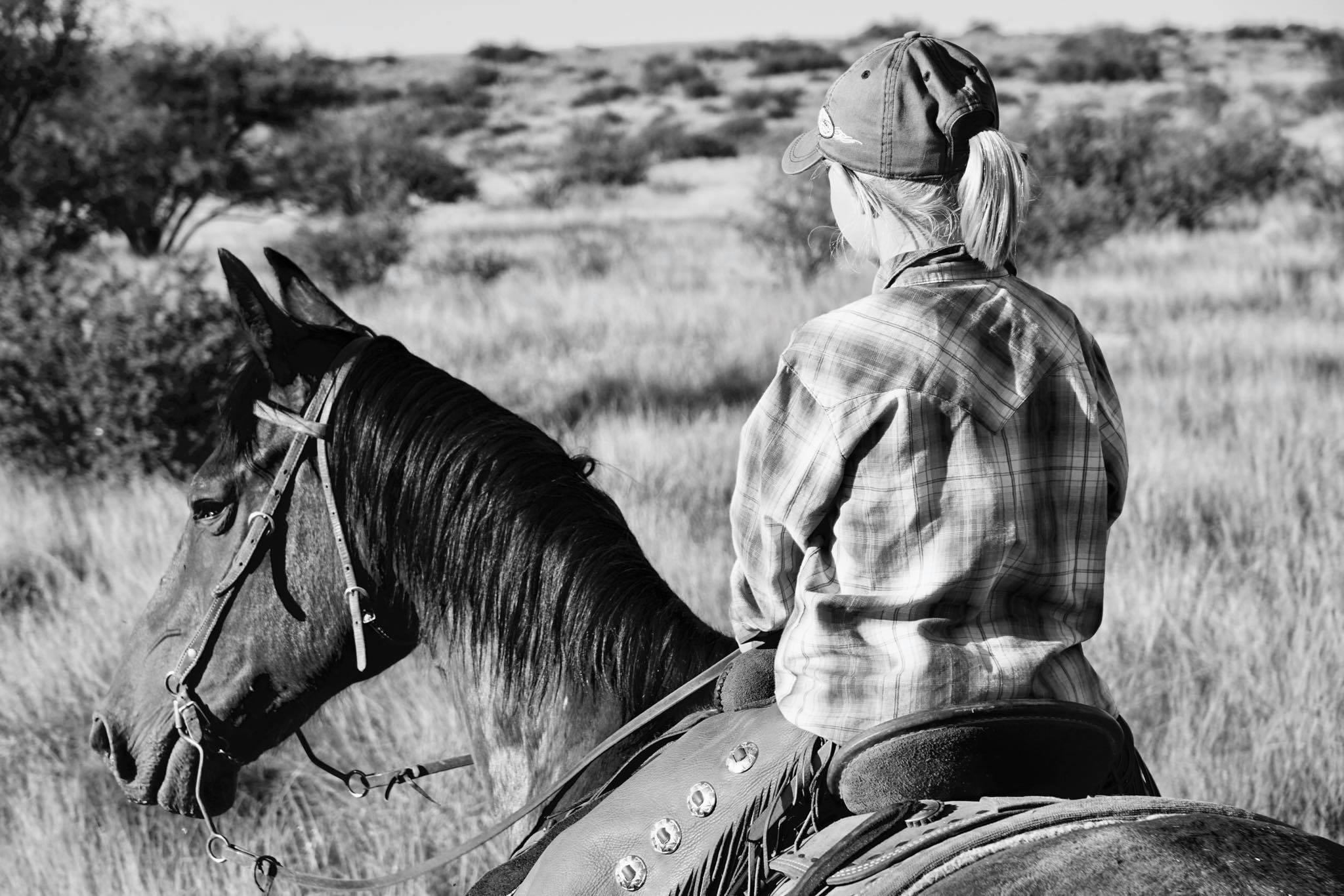 18423152_2132355046990808_1853977077406354987_o