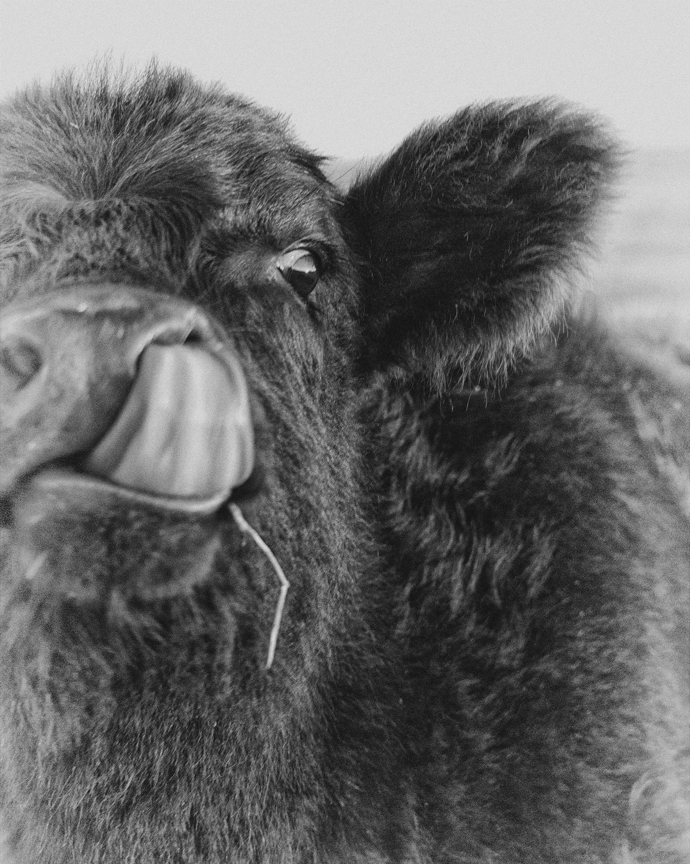 CanYouDoThis_DavidSchafer