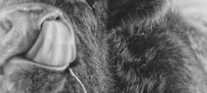 10 Life Lessons Herd From the&nbsp;Ranch