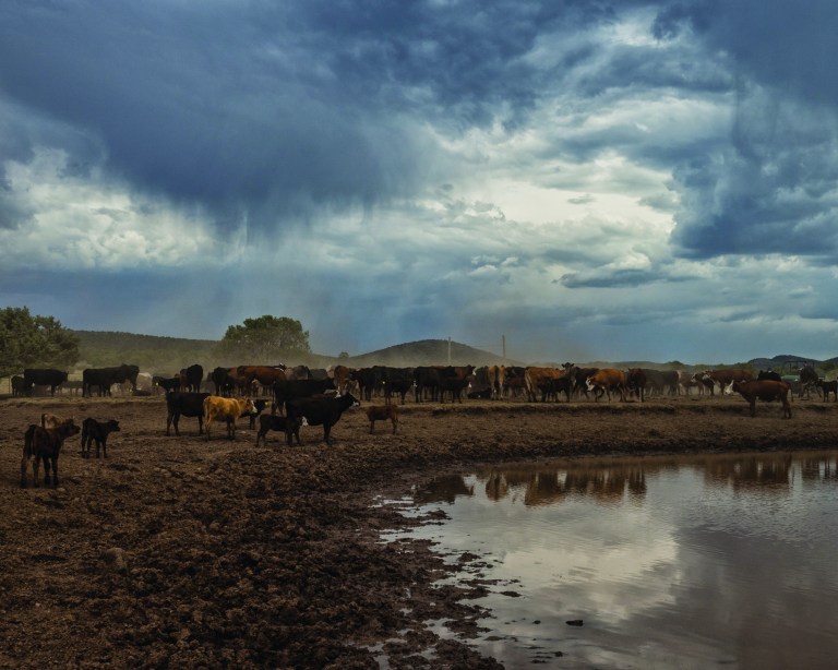 DavidSchafer_062716_0125