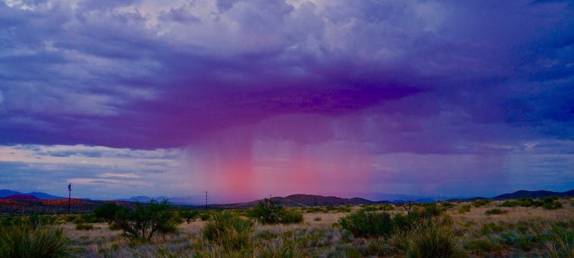 Arizona Monsoon Round-Up