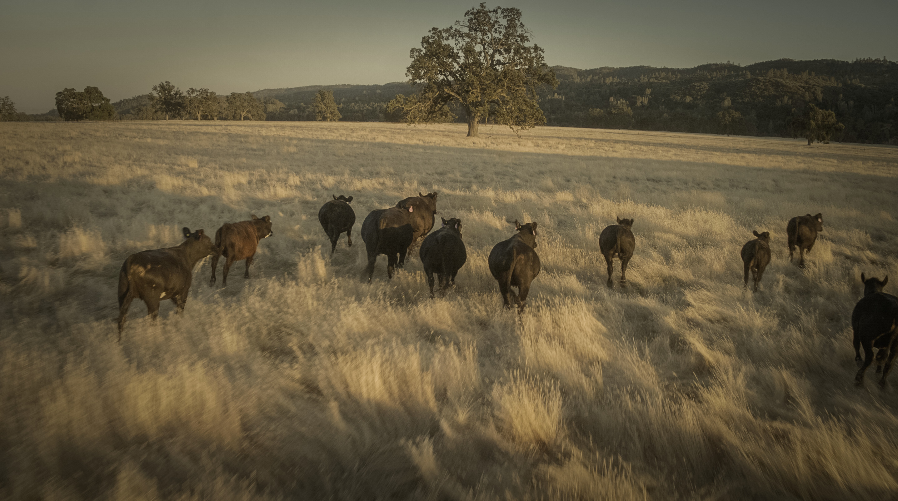 PIC_Bear_Valley_Ranch_015