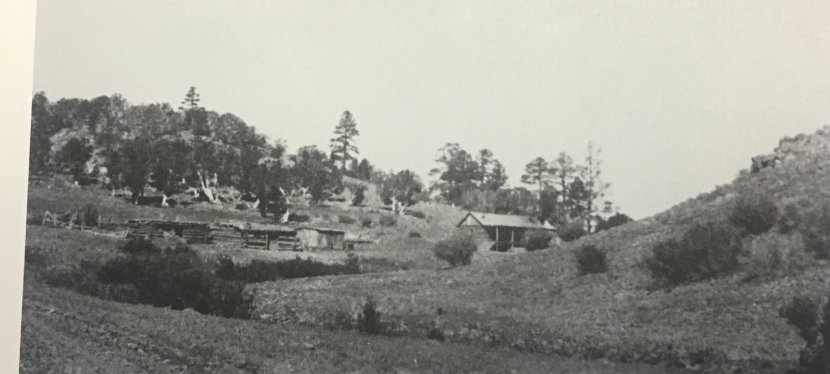 Ask a Rancher: Federal Grazing&nbsp;Permits