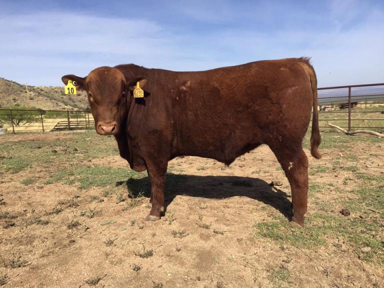 19895024_10211310269125423_1255091735706092734_n