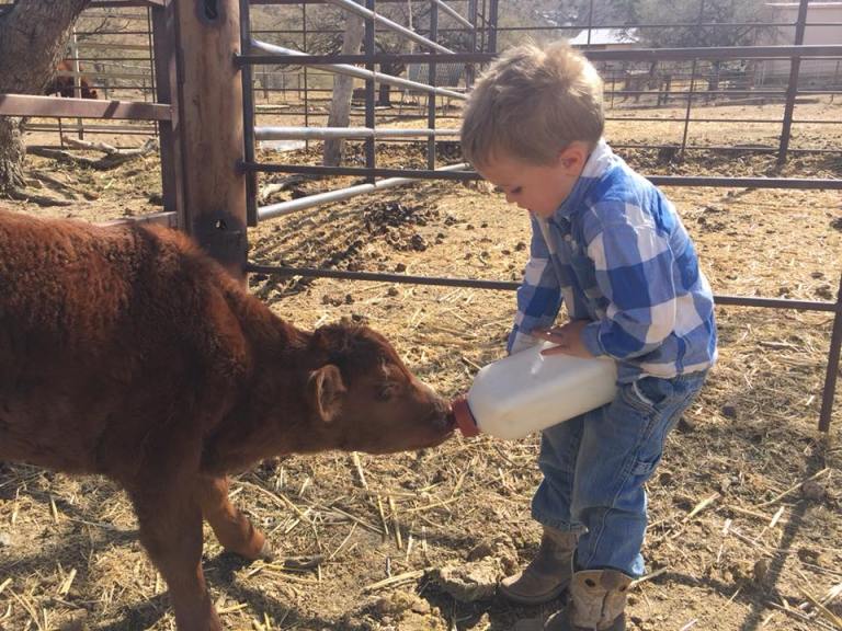 27458919_10212911287189874_5058168728060991410_n