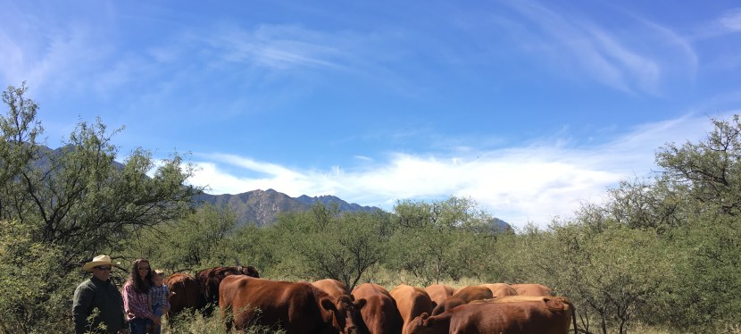 What is Range Management and Why is it&nbsp;Important?