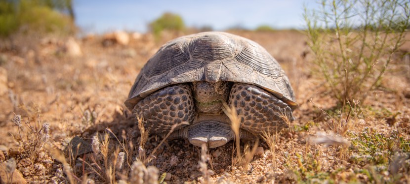 Meet Your Ranchers: Anita Waite and Sherwood&nbsp;Koehn