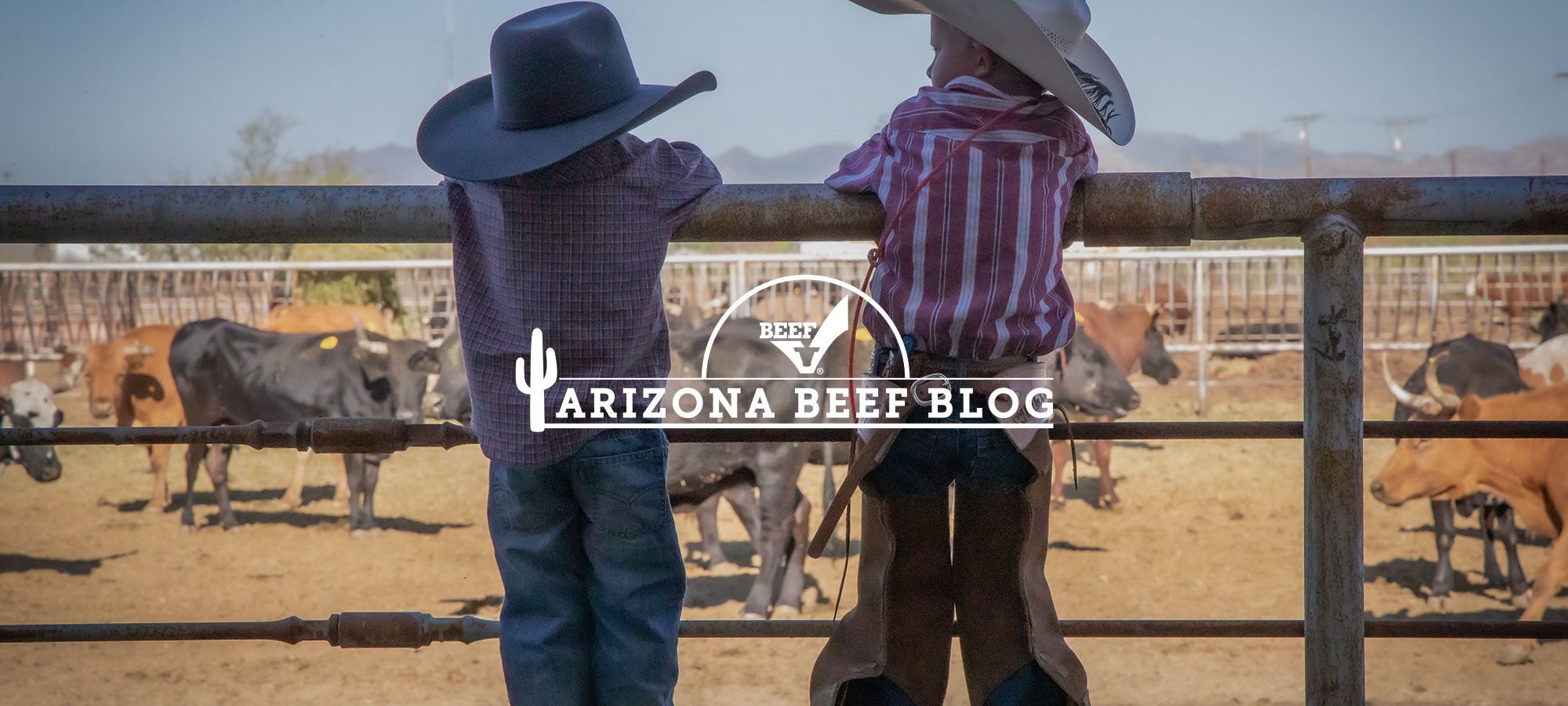 Arizona Beef Blog