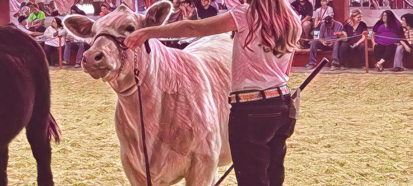 Advocating in Our Own&nbsp;Way