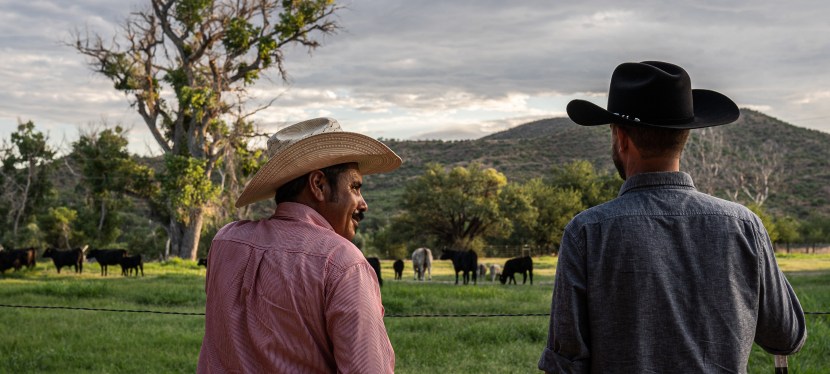 The Original Conservationists and Their Herds: The Key to Solving the Climate&nbsp;Crisis